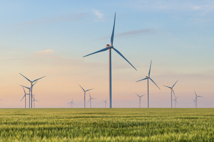 Voluntary carbon markets