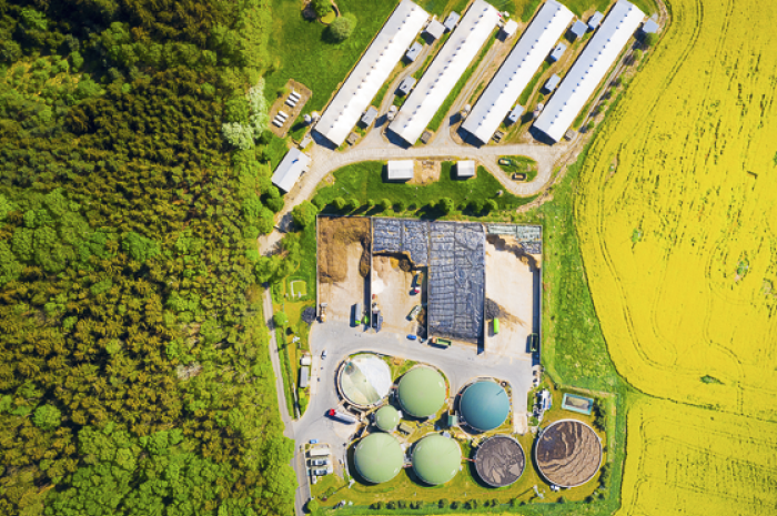 Biofuels
